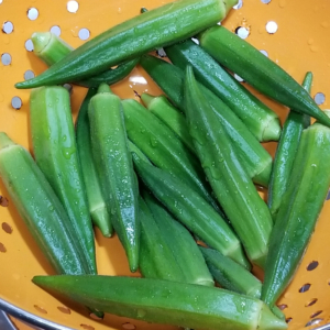 Fresh Picked Okra